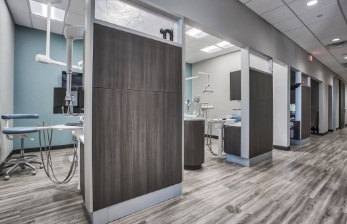 Hallway leading to several dental treatment rooms